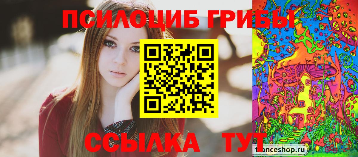 где купить наркоту  Вход с VPN  Междуреченск  Галлюциногенные грибы Psilocybine cubensis 