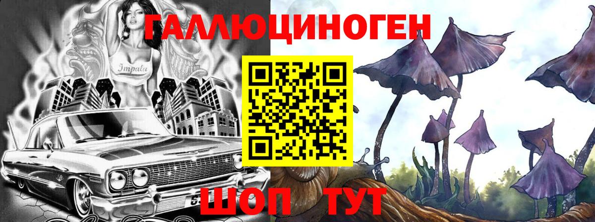 Псилоцибиновые грибы мухоморы Междуреченск